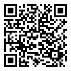 QR-Code - Logo - Fastgaming